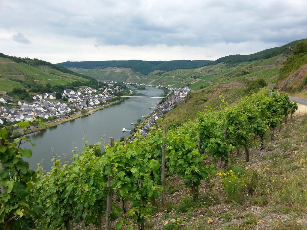 Apartament "Ferienhaus An Der Mosel" Zell an der Mosel Zewnętrze zdjęcie