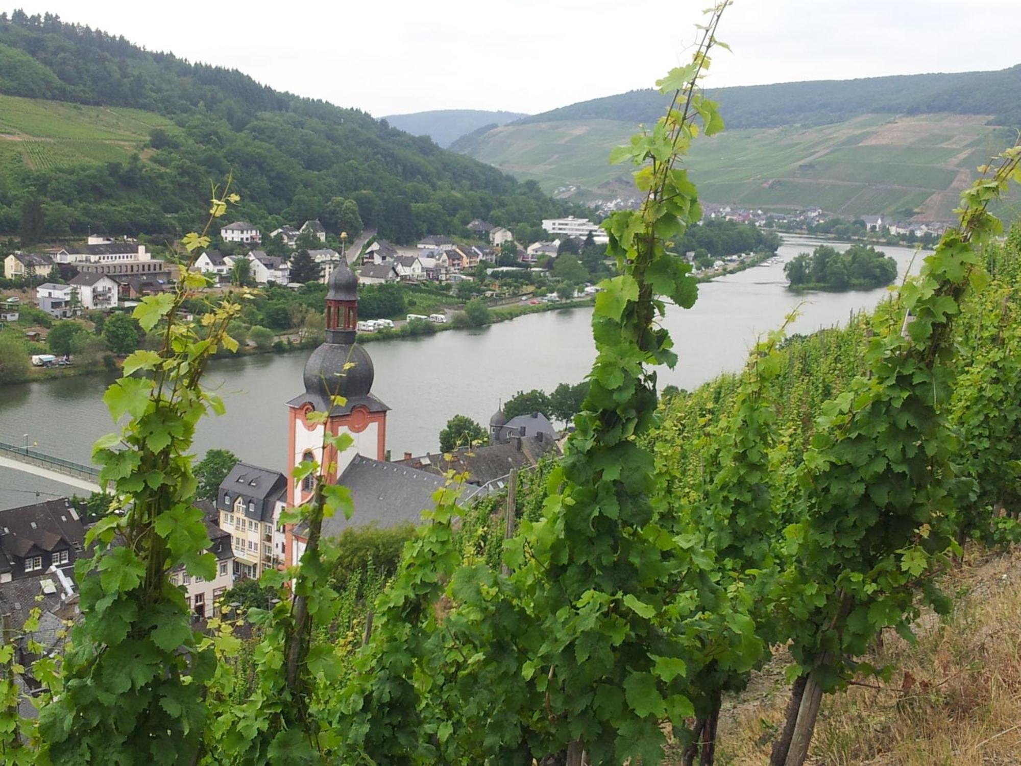 Apartament "Ferienhaus An Der Mosel" Zell an der Mosel Zewnętrze zdjęcie